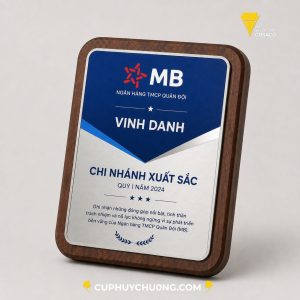 BVD 003 (1)