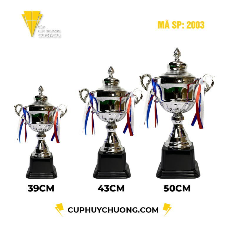 Cúp thể thao - Cúp kim loại - Cúp bóng đá - Mã 2003