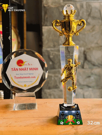 cúp bóng đá cho doanh nghiệp (2)