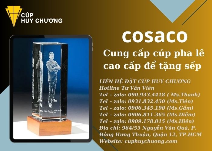 cúp pha lê cao cấp để tặng sếp (5)