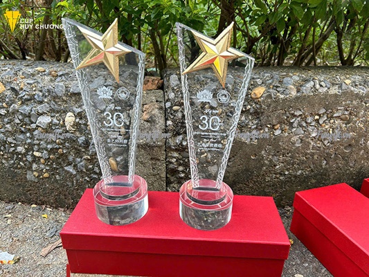 cúp vinh danh nhân viên (20)