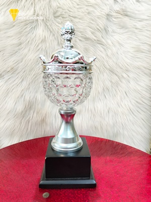 cúp vinh danh thể thao (2)