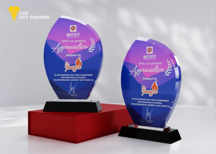Đặt kỷ niệm chương Bắc Ninh (3)