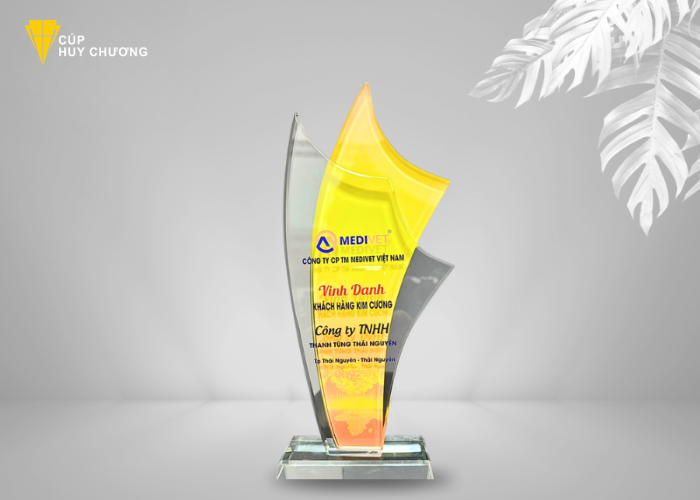 In kỷ niệm chương giá rẻ TPHCM (8) In kỷ niệm chương giá rẻ TPHCM (8)