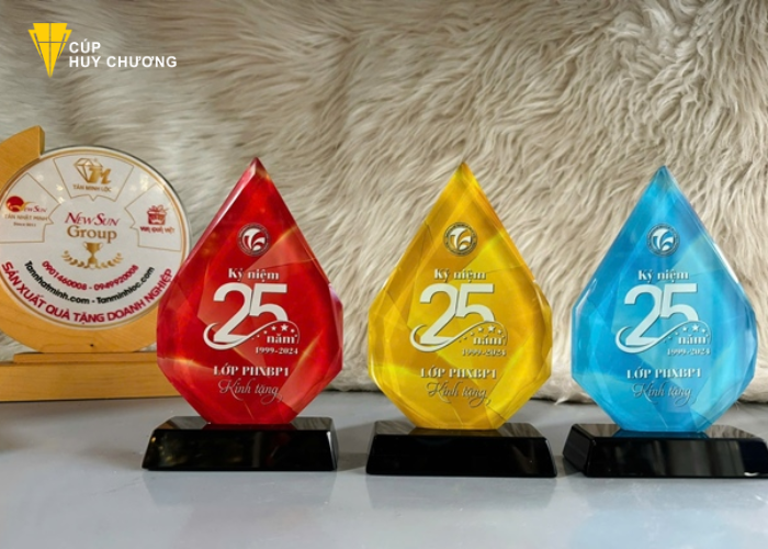 Kỷ niệm chương tại Nam Định (1)