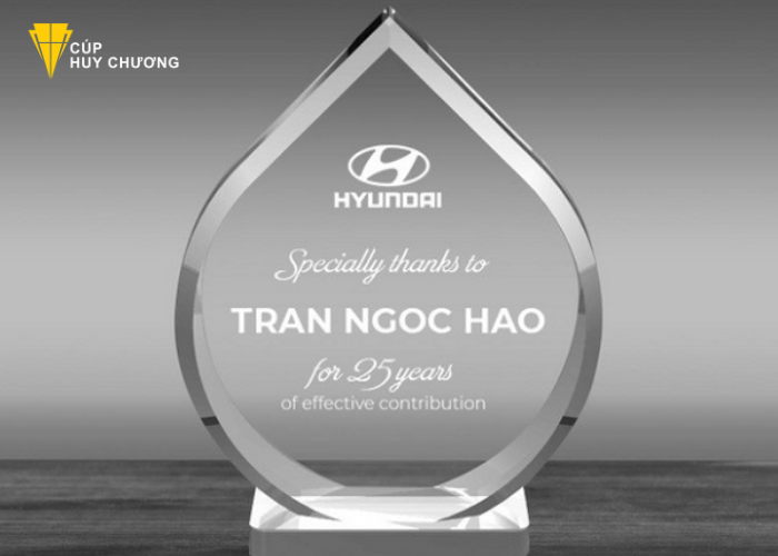 Kỷ niệm chương tại Nam Định (4)