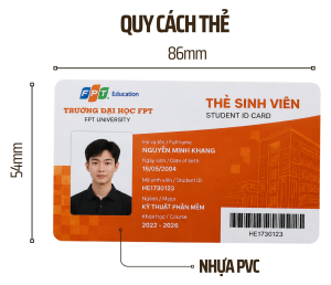 THE PVC THE PVC