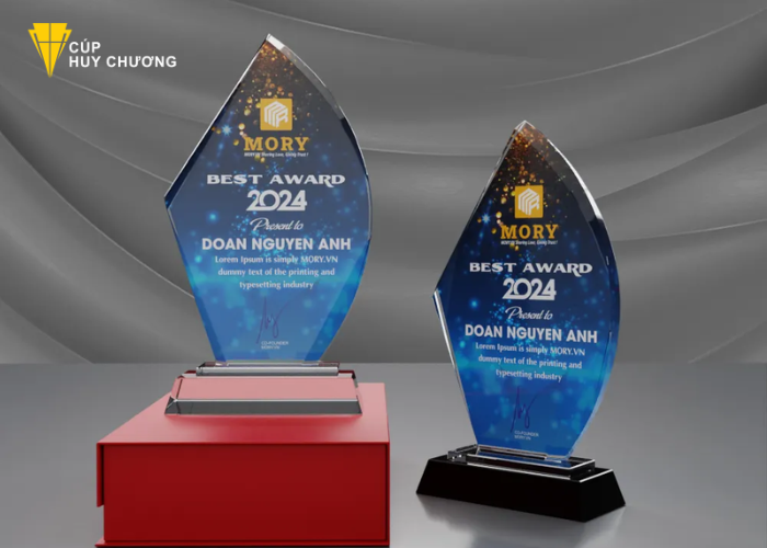 đặt kỷ niệm chương Thanh Hóa (11) đặt kỷ niệm chương Thanh Hóa (11)